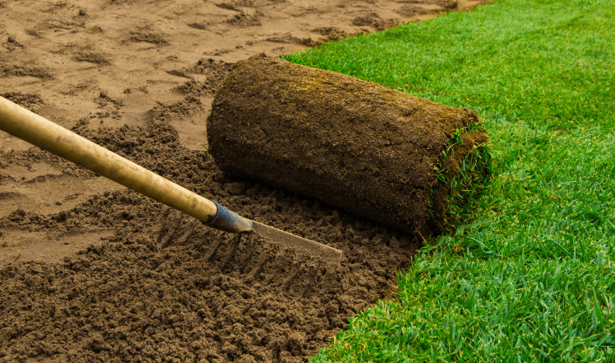 SOD INSTALLATION SERVICES