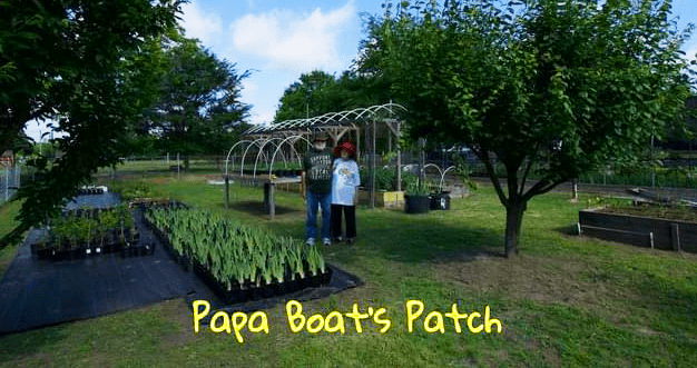 Papa Boat's Patch