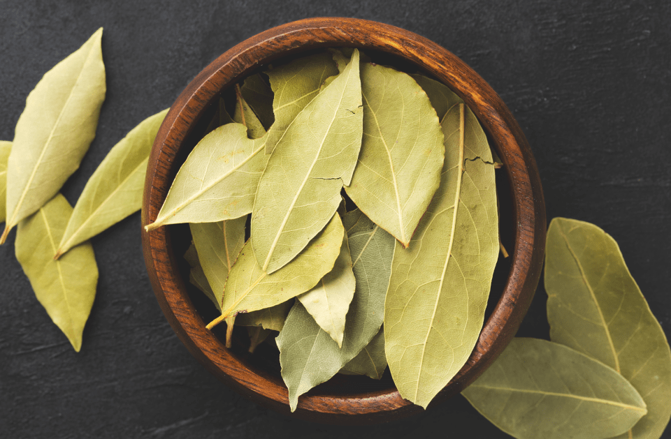 BAY LEAF
