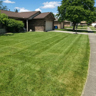 LAWN MAINTENANCE