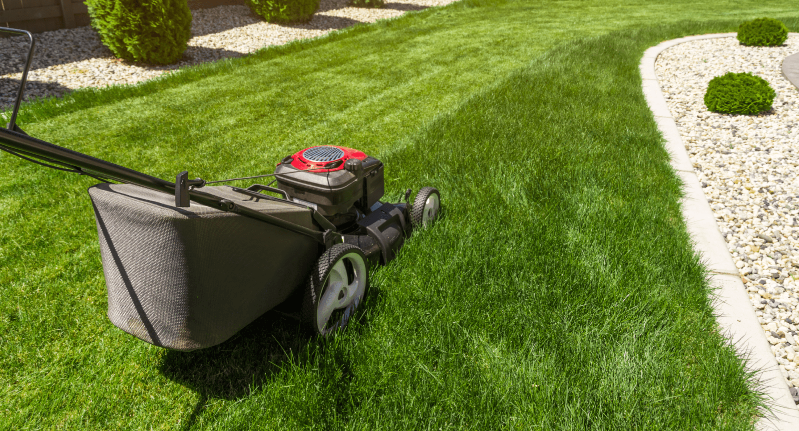 Lawn Maintenance