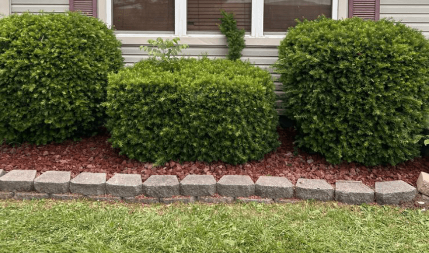 RESIDENTIAL LANDSCAPING