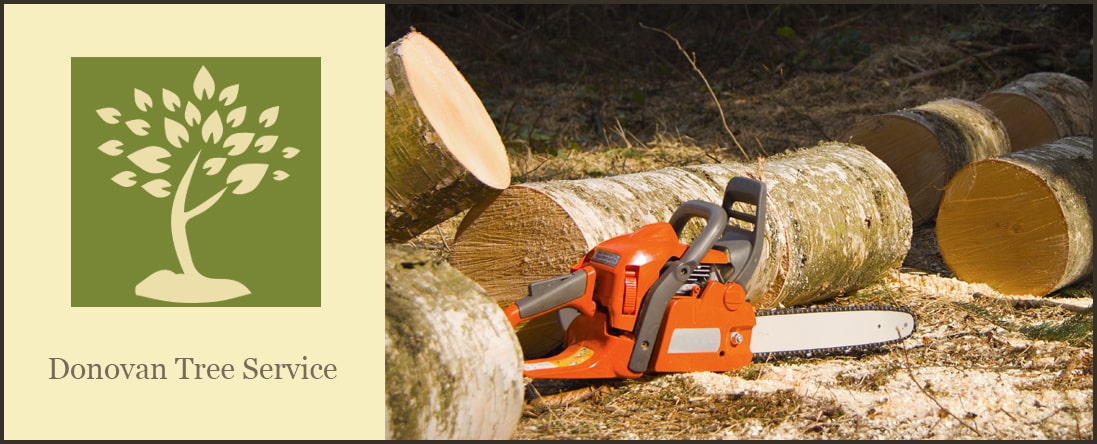 Tree Removal