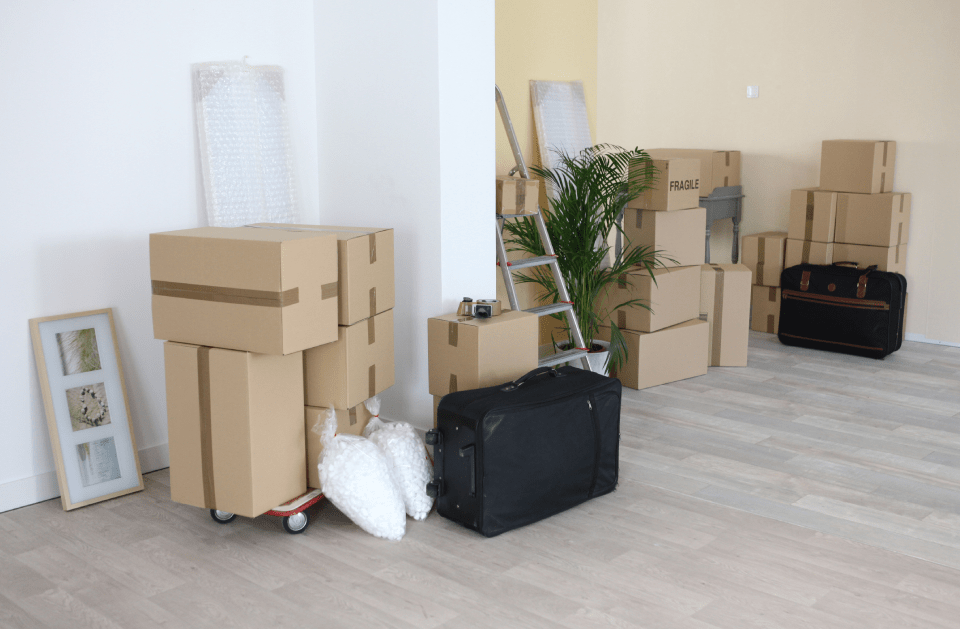 MOVE-OUT CLEANING