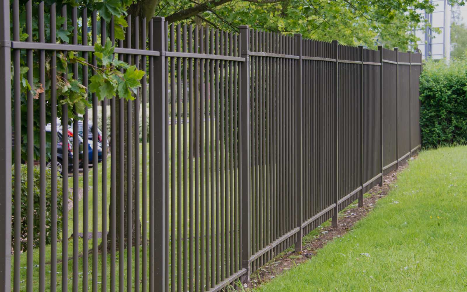 Fence Installation