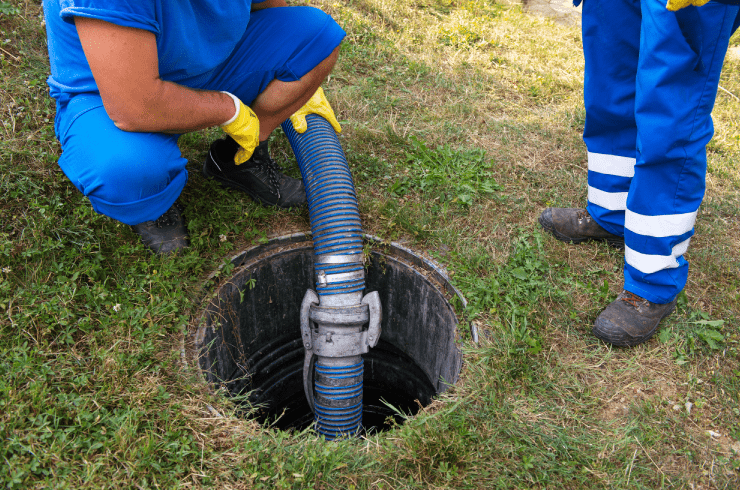 The Royal Flush Septic