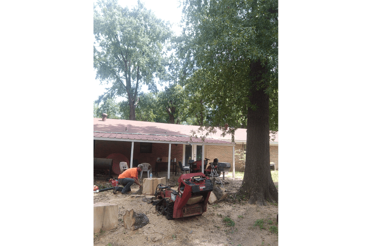 Foster's Tree Service and Landscaping