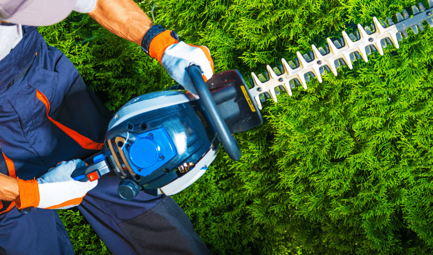 Foster's Tree Service and Landscaping