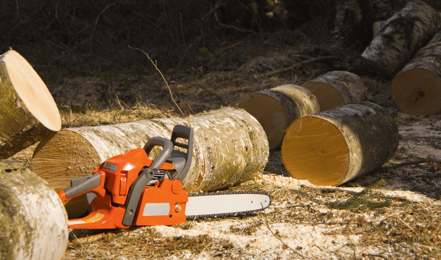 Foster's Tree Service and Landscaping