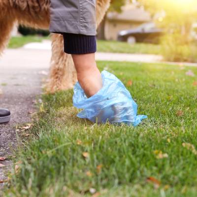 PET WASTE REMOVAL
