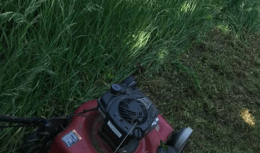 WEED CONTROL SERVICES