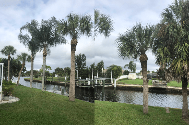 Alex's Full Service Landscaping