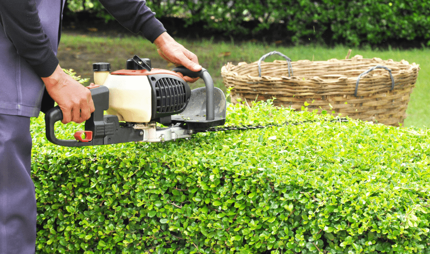 HEDGE TRIMMING