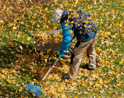 LAWN RAKING SERVICES