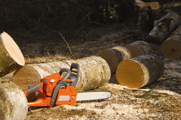 Top Notch Tree Expert 