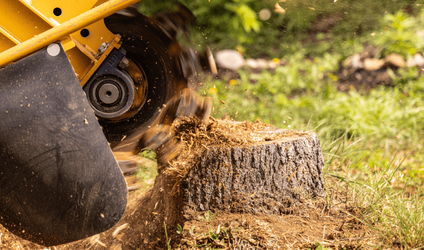 STUMP GRINDING