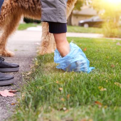 PET WASTE CLEANUP