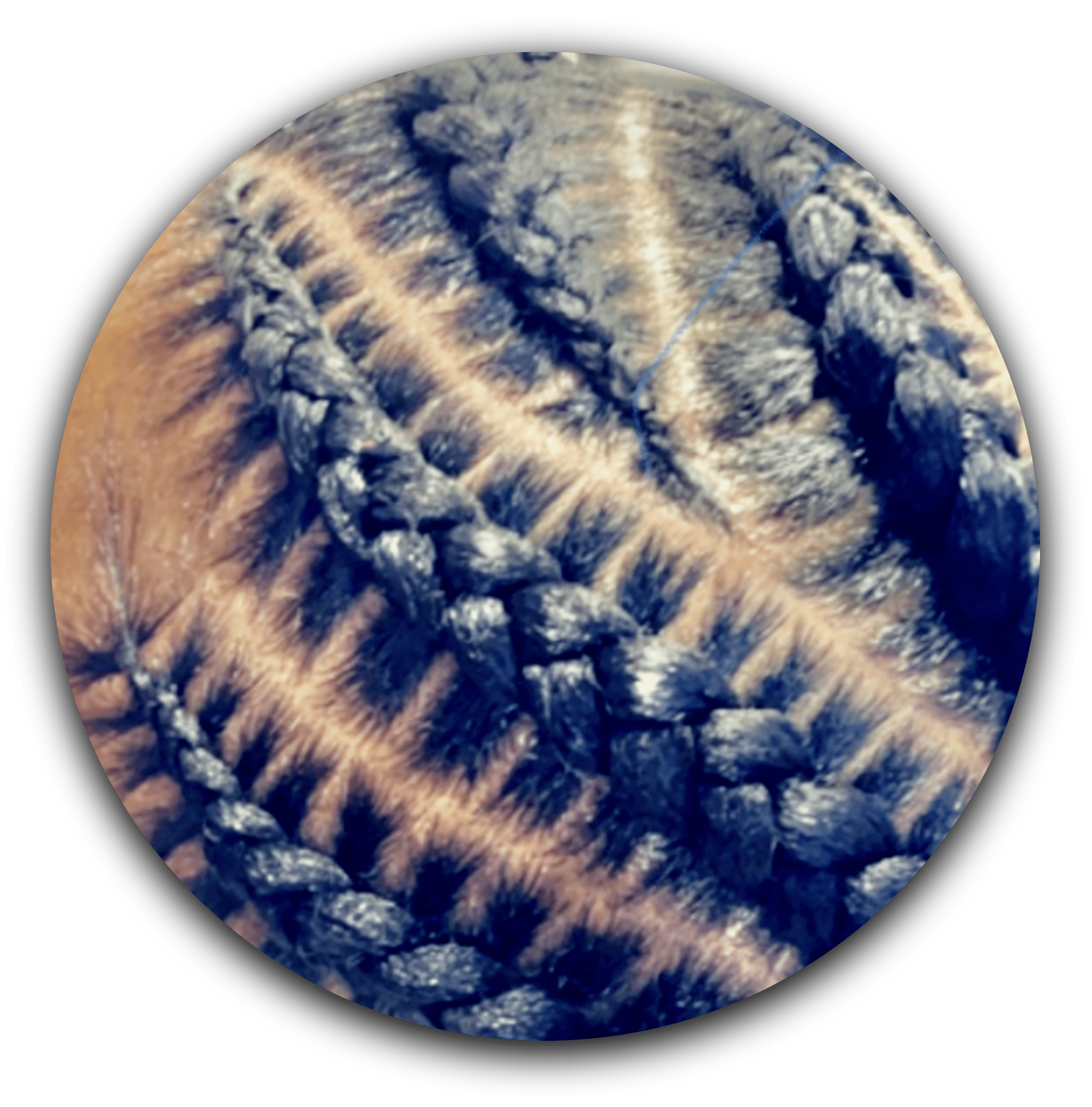 Trinity Hair Braiding Place