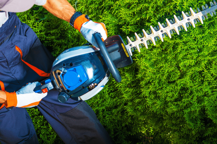 MR Tree Services