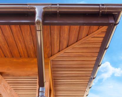 GUTTER AND DOWNSPOUT CLEANING