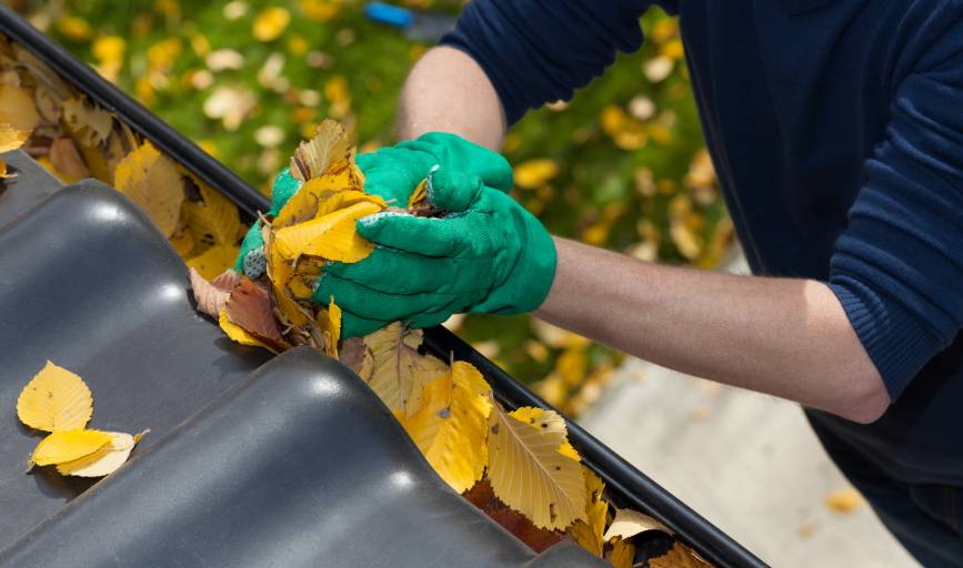 Dave's Handyman Services