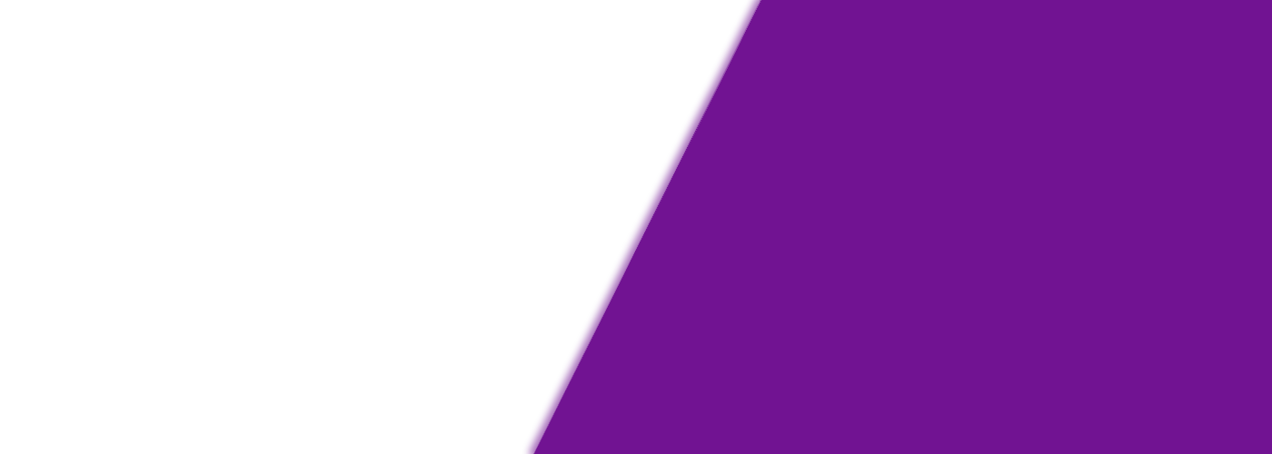 Wedding Chair Rentals