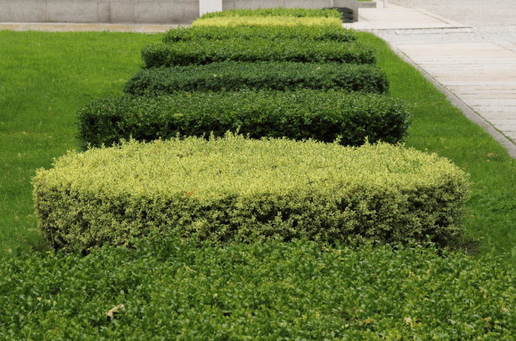 Father N Sons Landscaping