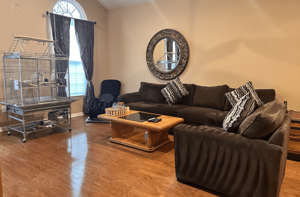 JAN Spotless Cleaning