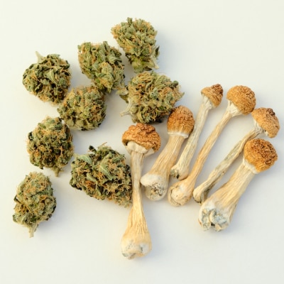 CANNABIS MUSHROOM