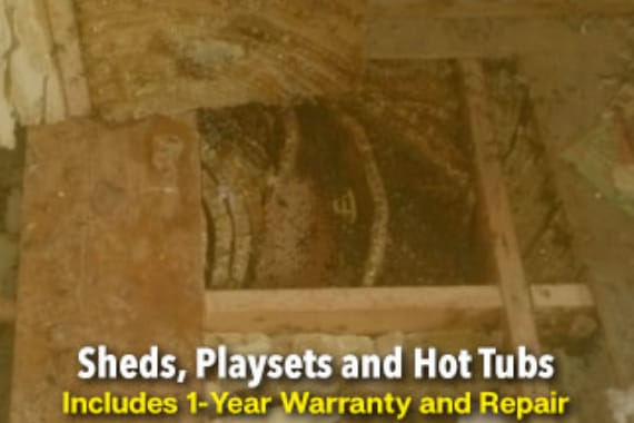 The Beeman Live Bee Removal