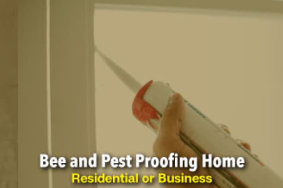 The Beeman Live Bee Removal