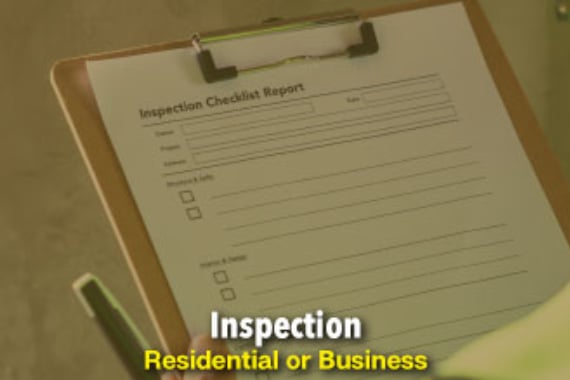 The Beeman Live Bee Removal