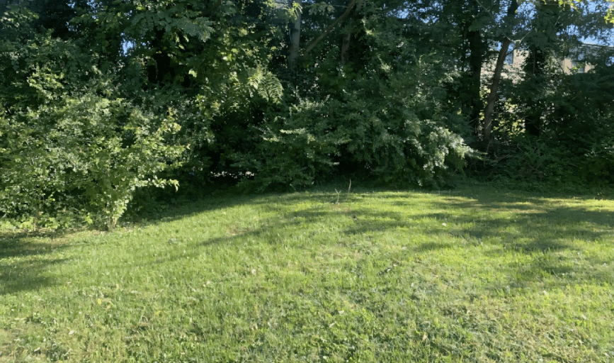 RESIDENTIAL LAWN CARE