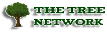 The Tree Network 