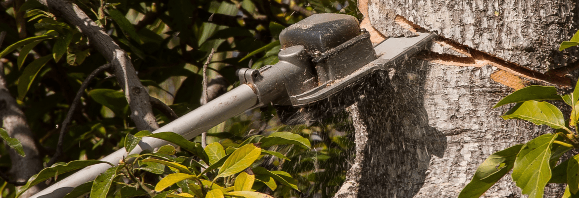 Super Affordable Tree Service