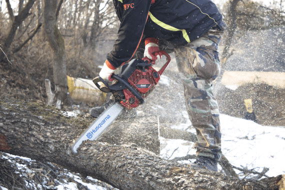 Super Affordable Tree Service