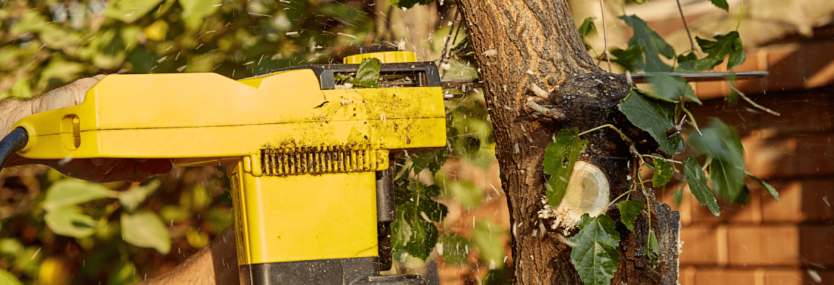 Super Affordable Tree Service