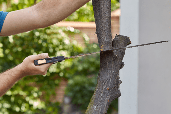 Super Affordable Tree Service