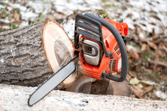 Super Affordable Tree Service