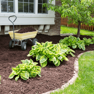 MULCH INSTALLATION
