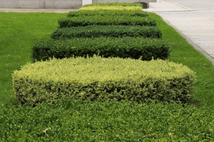 T&E Housekeeping and Janitorial