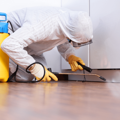 EMERGENCY PEST CONTROL