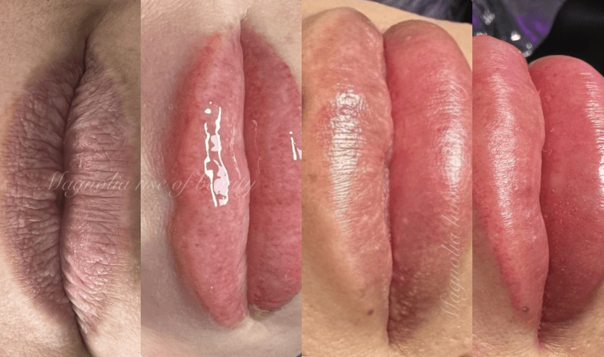 Magnolia House of Beauty