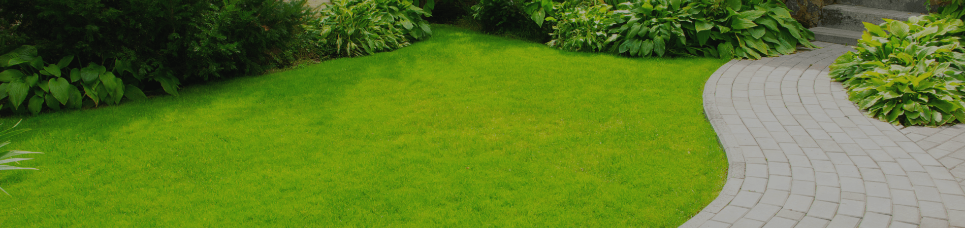 Bold Changes Property Maintenance