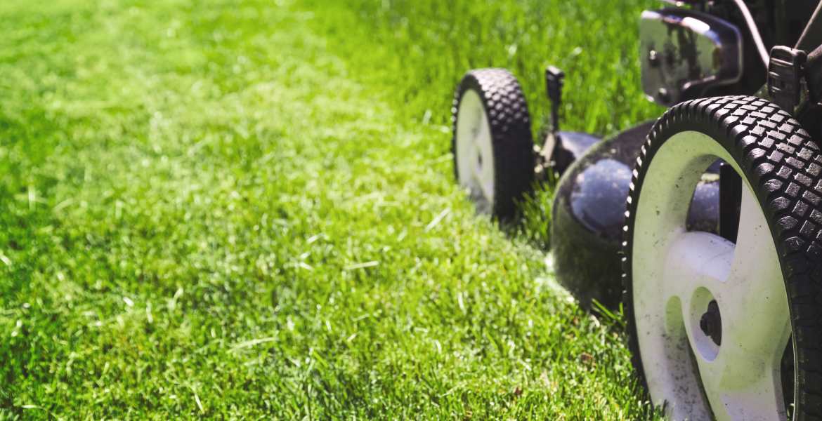 Guerrero Landscaping