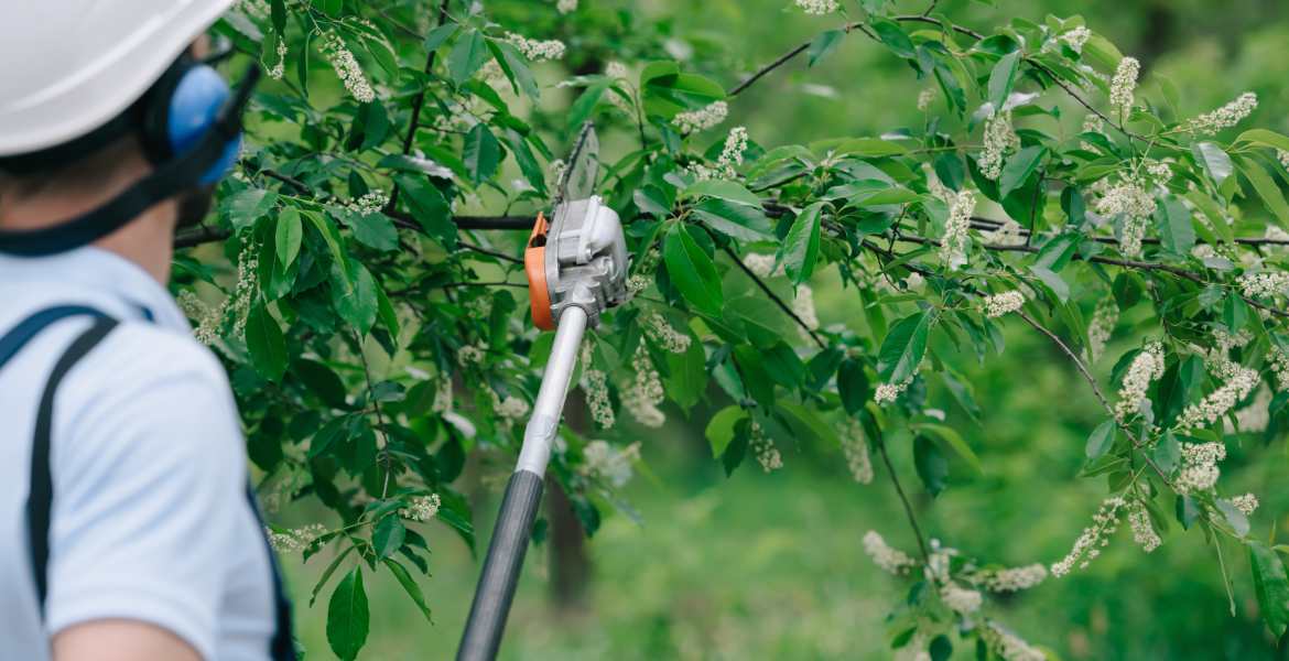 Guerrero Landscaping