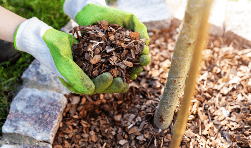 MULCHING SERVICES