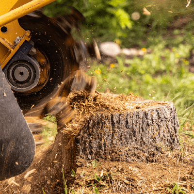 STUMP REMOVAL