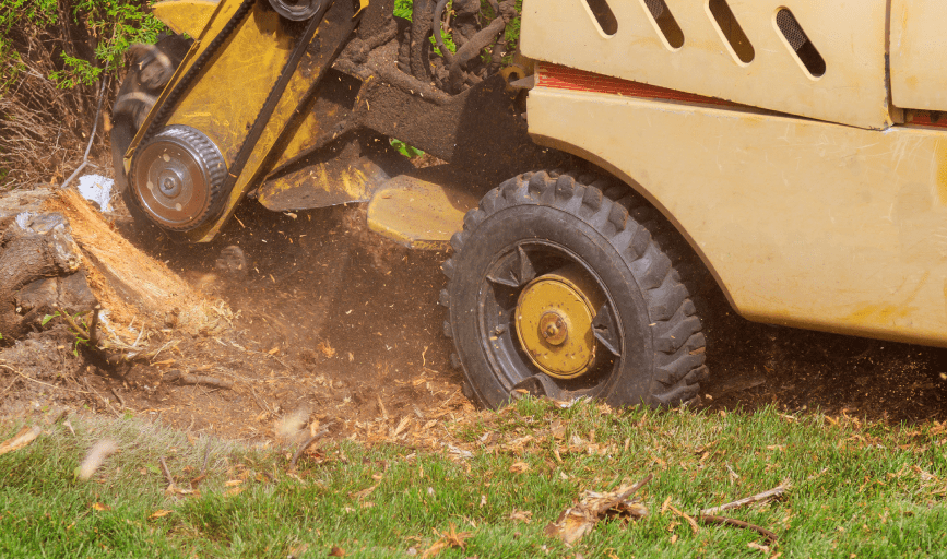 STUMP GRINDING SERVICES