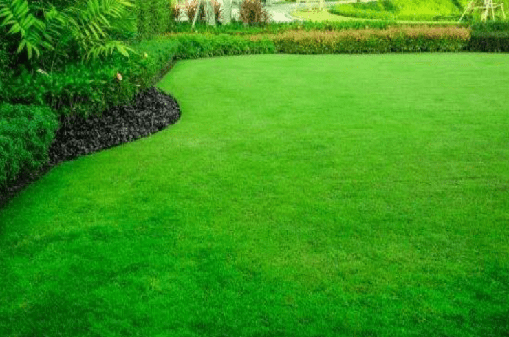R & F Lawn Services